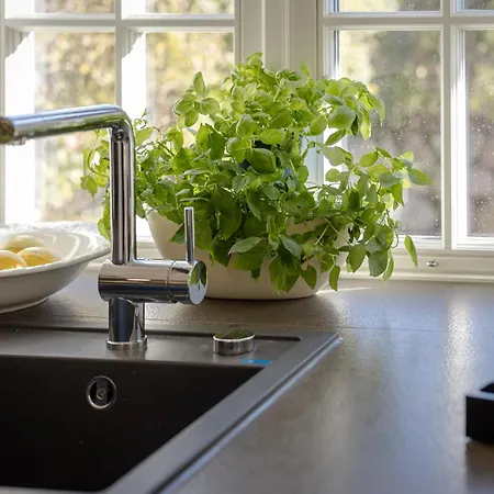 Finn's Hues Веннингштедт