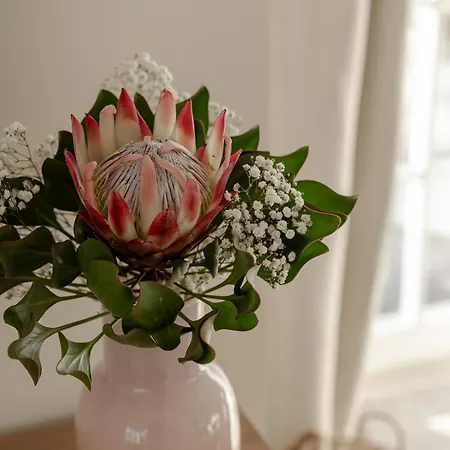 Finn's Hues Дом отдыха